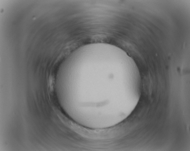 X0000065960038200603172035