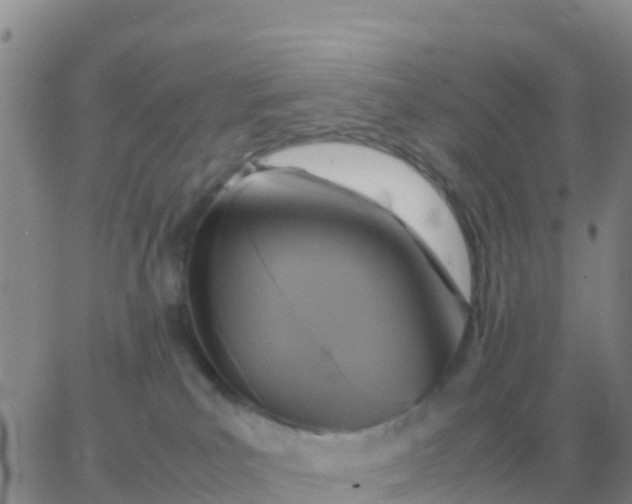 X0000065960039200603172035