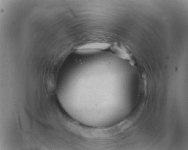 X0000065960040200603172035