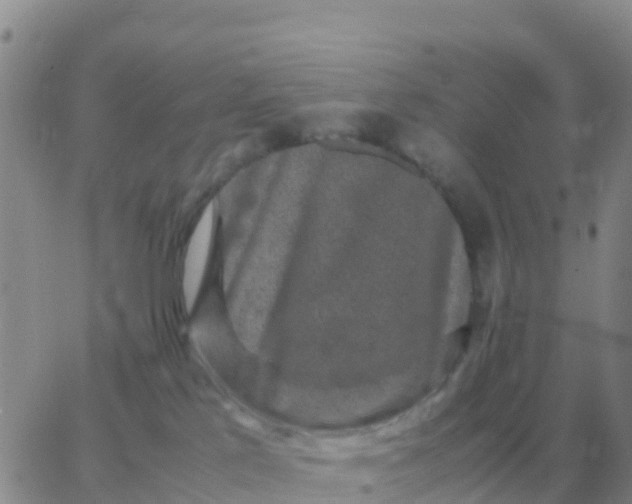 X0000065960041200603172035