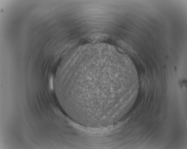 X0000065960042200603172035