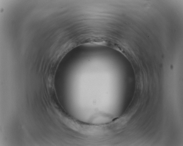 X0000065960044200603172035