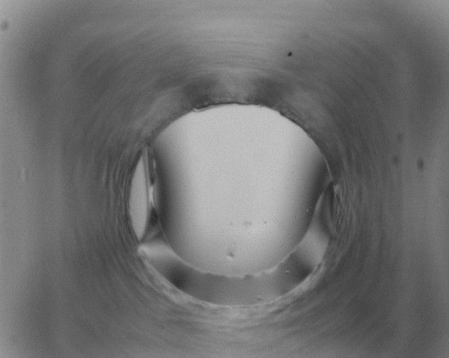 X0000065960045200603172035