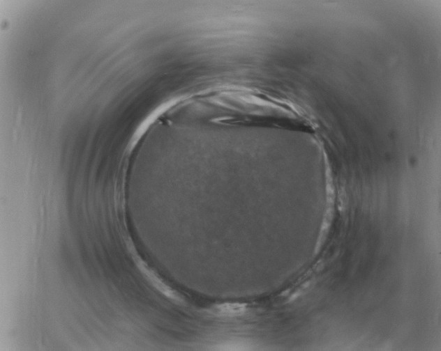 X0000065960052200603172035