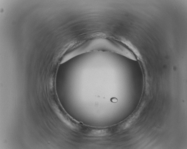 X0000065960057200603172035