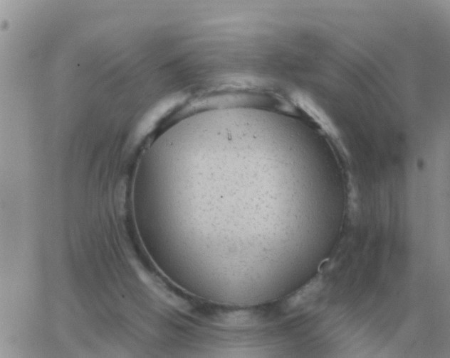 X0000065960058200603172035