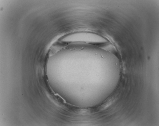 X0000065960060200603172035