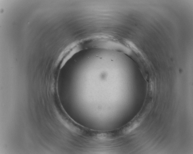 X0000065960064200603172035