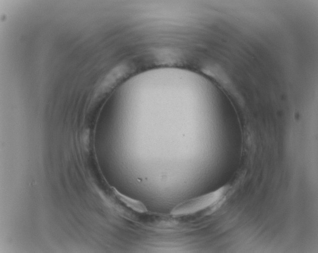 X0000065960066200603172035