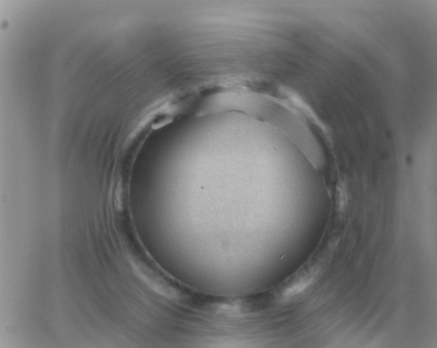 X0000065960068200603172035