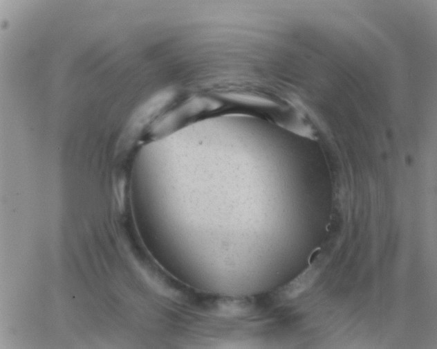 X0000065960070200603172035