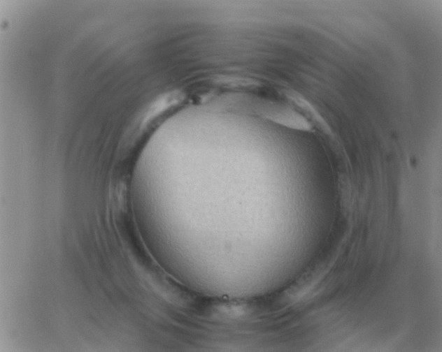 X0000065960071200603172035