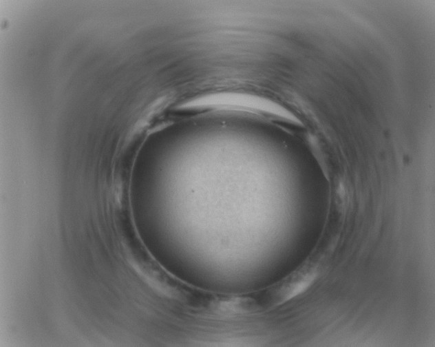 X0000065960072200603172035