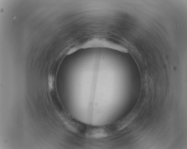 X0000065960075200603172035