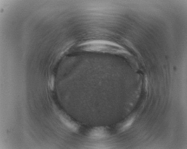 X0000065960076200603172035