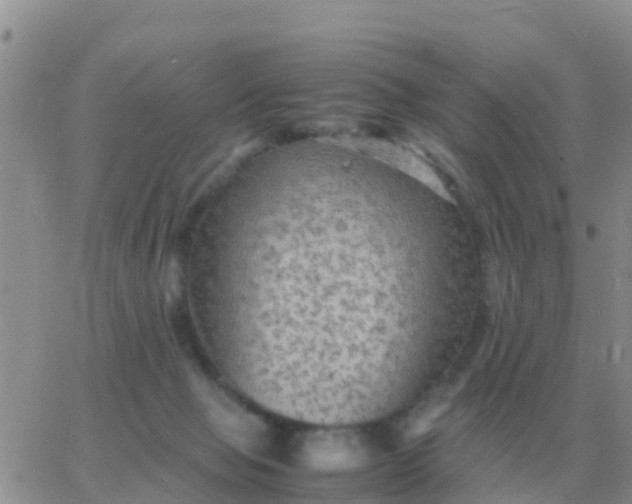 X0000065960077200603172035