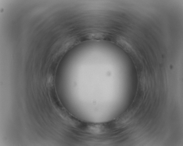 X0000065960079200603172035