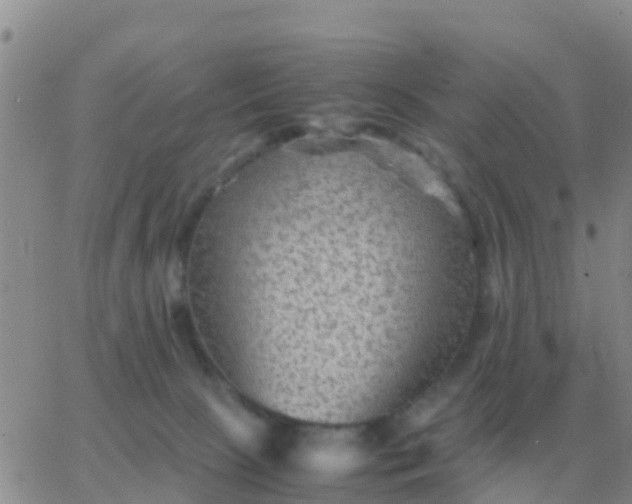 X0000065960081200603172035