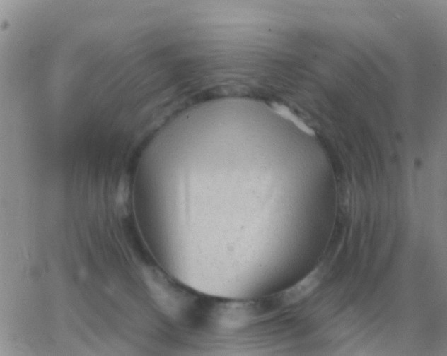 X0000065960082200603172035