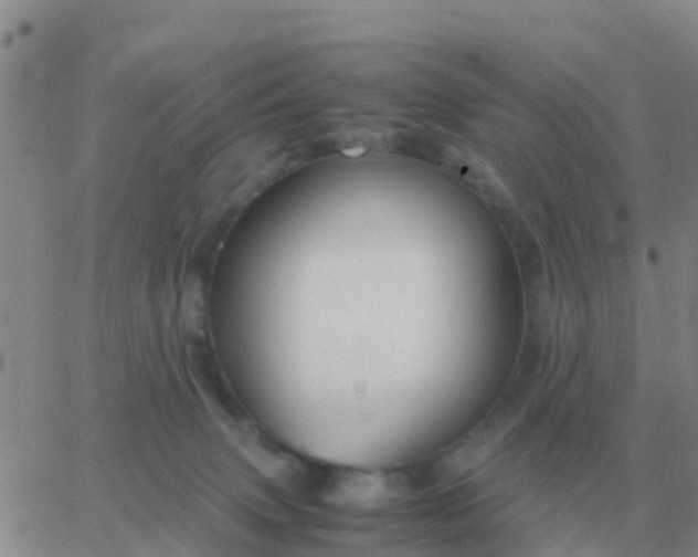 X0000065960083200603172035