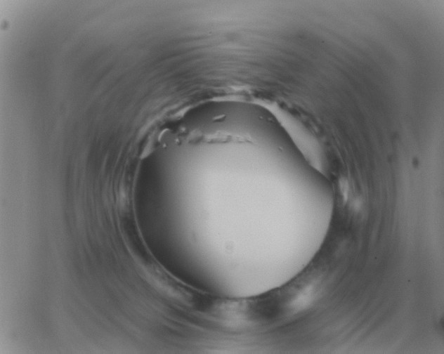 X0000065960084200603172035