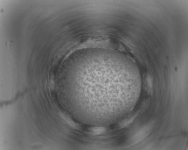 X0000065960085200603172035