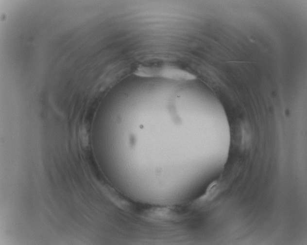 X0000065960086200603172035