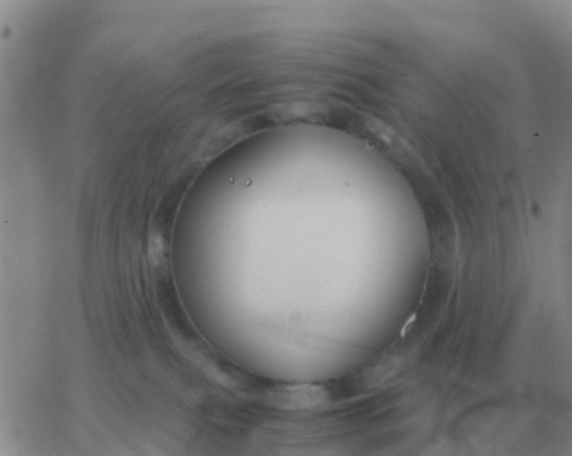 X0000065960087200603172035