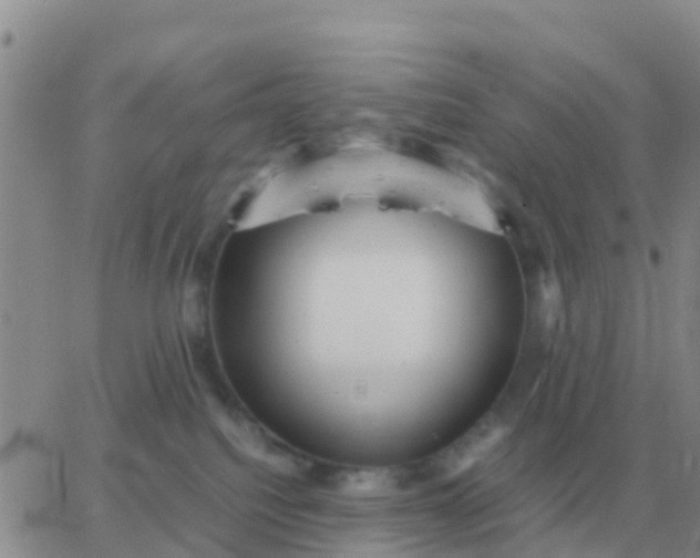 X0000065960088200603172035