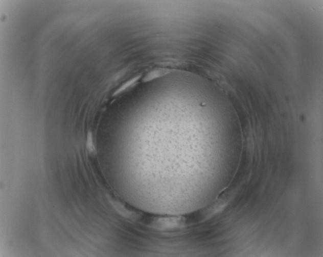 X0000065960089200603172035