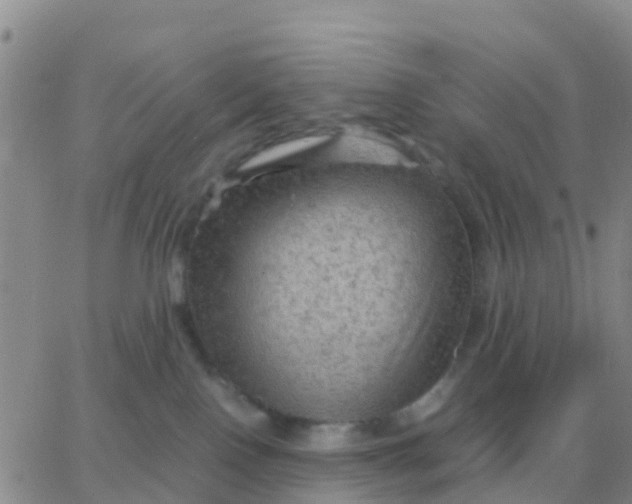 X0000065960090200603172035