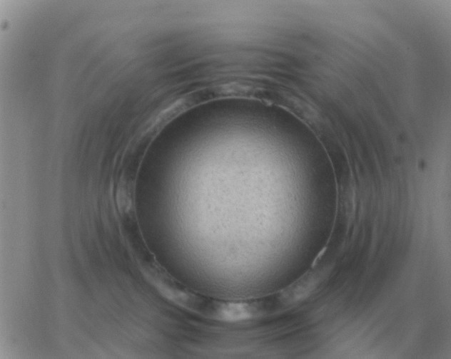 X0000065960091200603172035