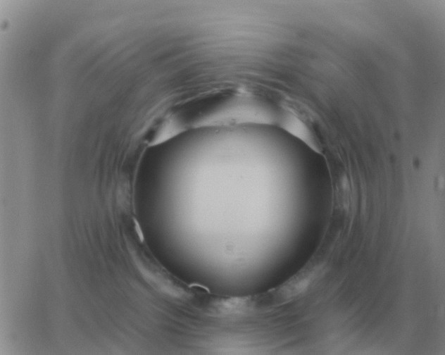 X0000065960092200603172035