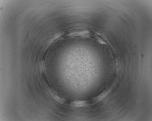 X0000065960093200603172035