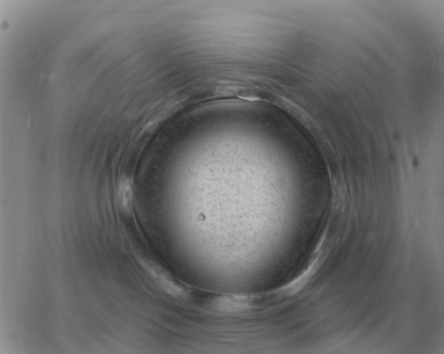 X0000065960094200603172035