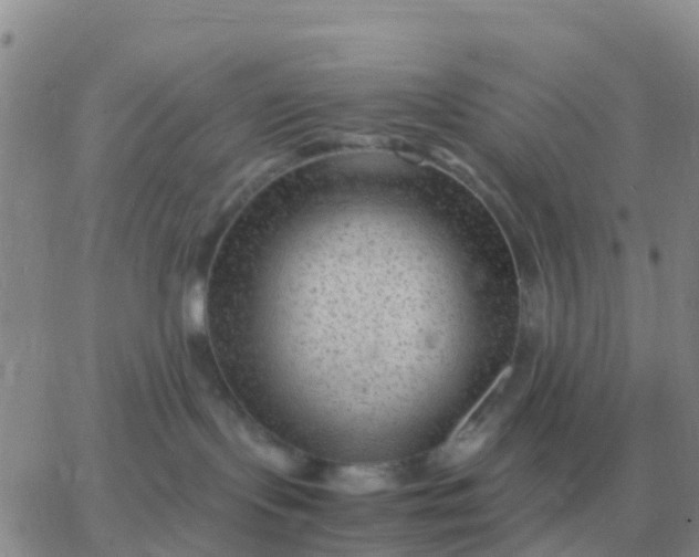 X0000065960095200603172035