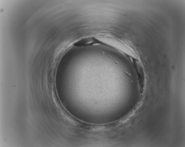 X0000065960097200603172035