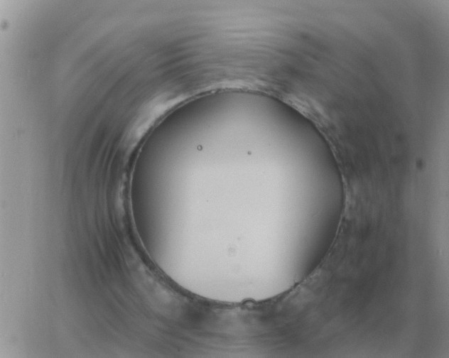 X0000065960098200603172035