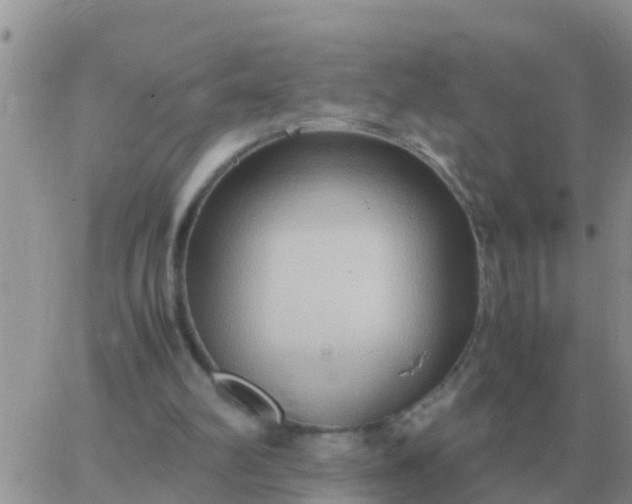 X0000065960102200603172034