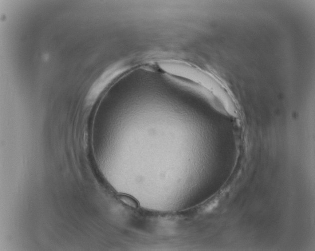 X0000065960103200603172034