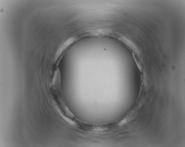 X0000065960105200603172034