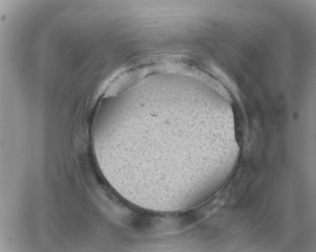 X0000065960107200603172034