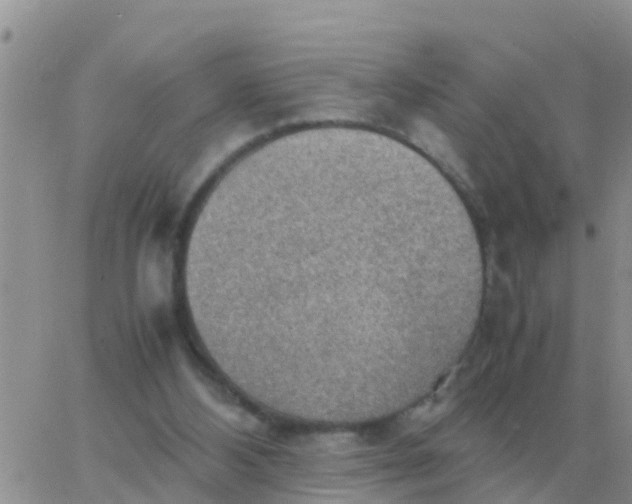 X0000065960108200603172034