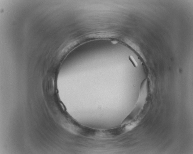 X0000065960109200603172034