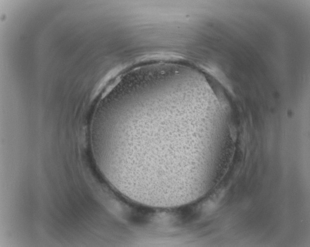 X0000065960111200603172034