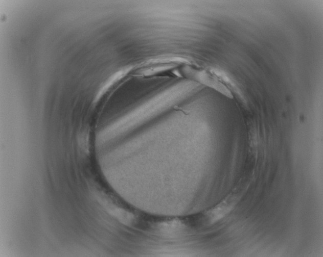 X0000065960112200603172034