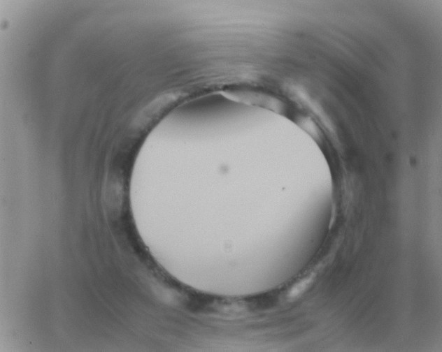 X0000065960113200603172034