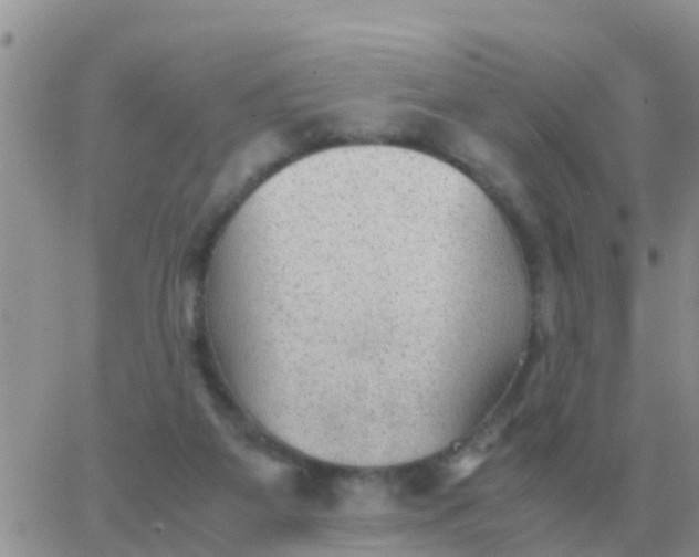 X0000065960115200603172034