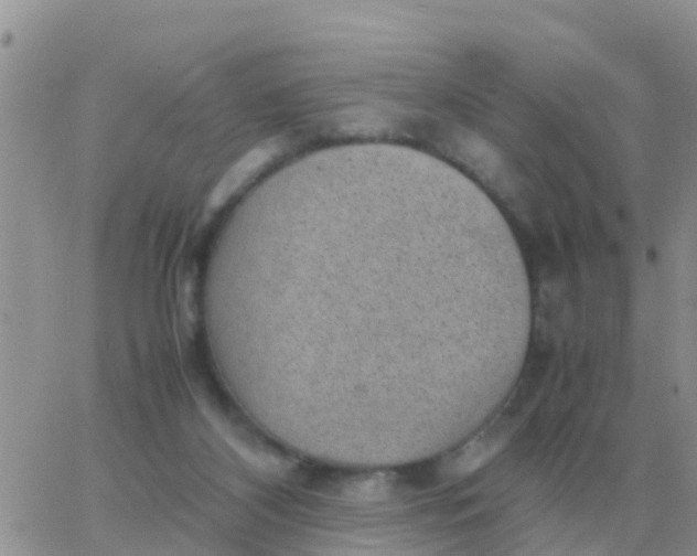 X0000065960116200603172034