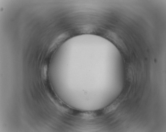 X0000065960118200603172034